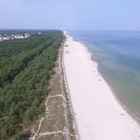 Nadbałtycka Karwia
